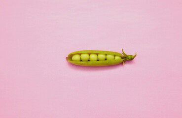 green peas on a pink background