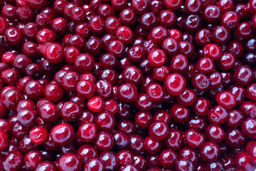Background of ripe cherries, close-up, top view