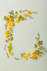 spring yellow flowers on paper background