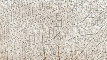Abstract textured background covered with deep cracks