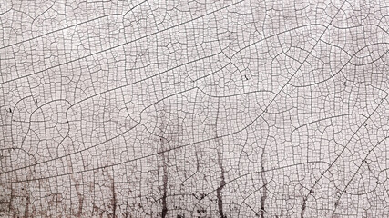 Abstract textured background covered with deep cracks