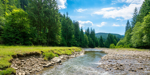 mountain river among the forest in valley. sunny summer landscape. green grass and rocks on the...