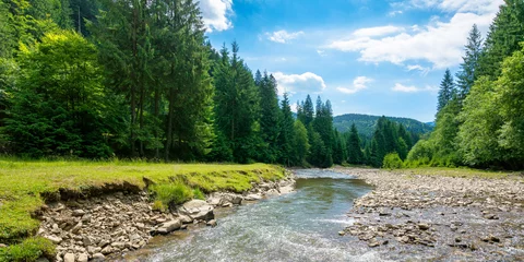  mountain river among the forest in valley. sunny summer landscape. green grass and rocks on the shore. white clouds on the blue sky © Pellinni