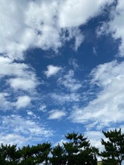 blue sky with clouds