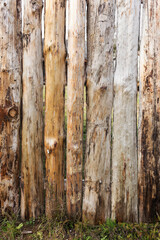 Background with old wooden texture for any of your design