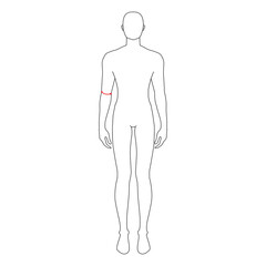 Men to do elbow measurement fashion Illustration for size chart. 7.5 head size boy for site or online shop. Human body infographic template for clothes. 