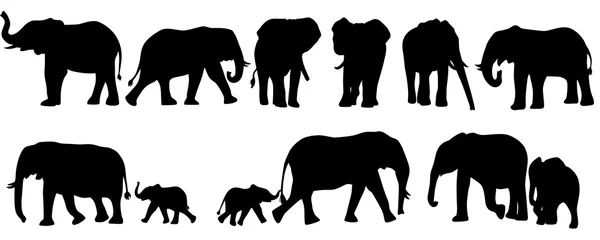 Foto op Canvas set of elephant silhouettes. Elephant shadow hand drawn. Flat vector illustration. © peaze cy