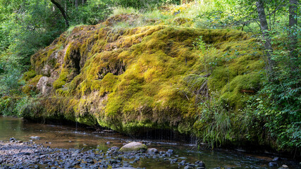 Waterfall at City Rauna, Latvia. River With a Rocky Bottom and Rauna Staburags Cliff. A Unique Rock Form of Nature Through Which the Water Flows Down the Moss and Looks Like It Cries.