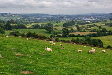 The countryside in Lake District in England, on cloudy day.