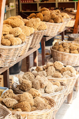 Natural coral sea sponge on the counter of tourist resort store. Resort classic Greek souvenirs