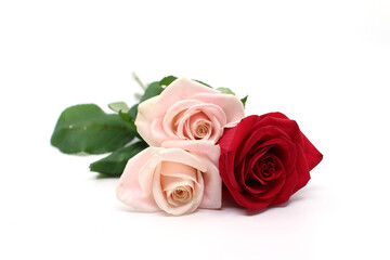 Fototapeta na wymiar bouquet of roses