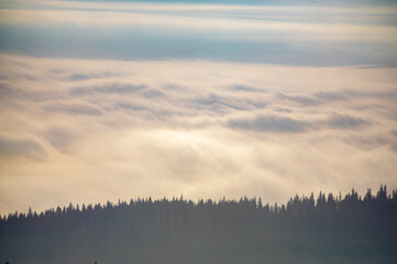 Obraz na płótnie Canvas Fog over the forest in the Carpathian mountains