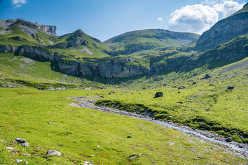 Fototapeta na wymiar Alp Hohkien in Kiental, Berner Oberland