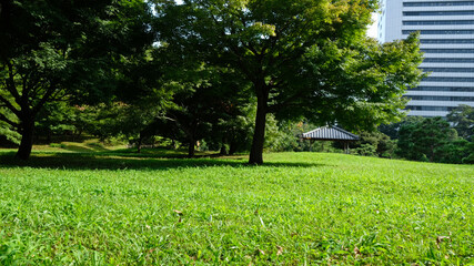 Fototapeta premium 浜離宮恩賜公園