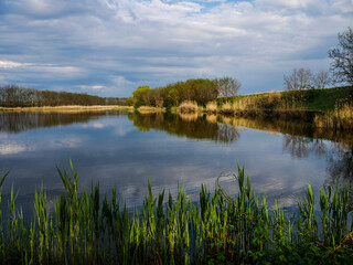 Fototapeta na wymiar spring river landscape with cloudy sky and reeds
