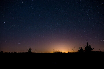 night country landscape. a sky full of stars