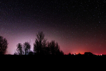 night country landscape. a sky full of stars
