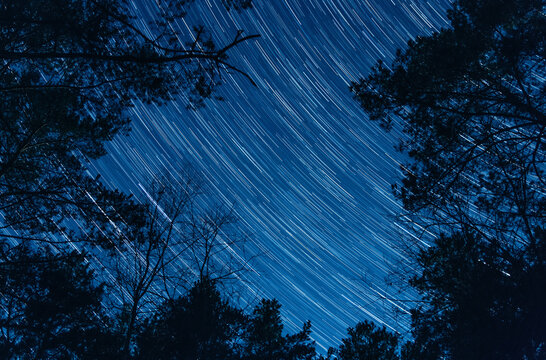 star trails in the night sky.  clear evening sky