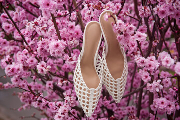 White leather middle heel female sandals on the pink  cherry tree branch. Blooming sakura. 	