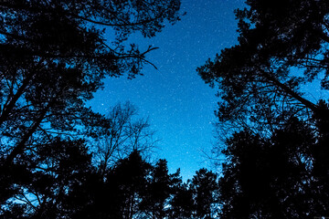 night clear sky full of stars. 