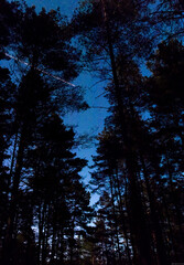 Obraz premium night clear sky full of stars. 