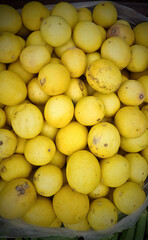 Selective focus on yellow lemons multiple uses 