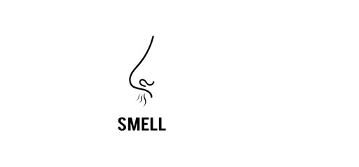 Nose smell icons. Human smelling and breathe nose senses