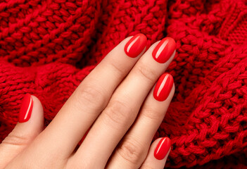 Woman's hand in sweater with red manicure on gray background