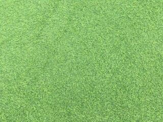 green grass background