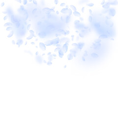 Light blue flower petals falling down. Posh romant