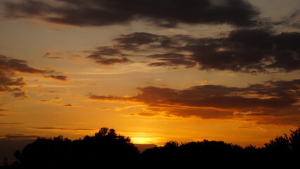 orange-purple sunset sky and silhouettes of trees