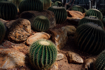Queen Sirikit Botanic Garden, Tourist attractions and Nature study place