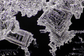 Microscopic view of sodium chloride crystals. Darkfield illumination.