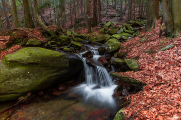 Skalní potok v Jeseníkách