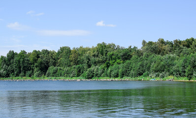 Forest lake trees landscape. Lake view in summer. Sun glare on the water surface. Selective focus.