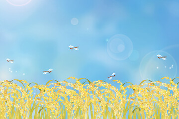 稲と青空と赤とんぼの風景 © 時々雨