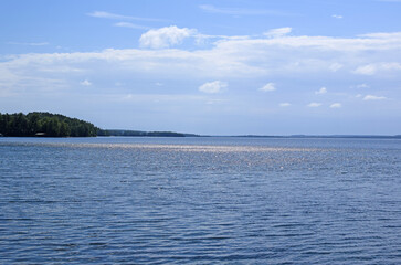 Forest lake trees landscape. Lake view in summer. Sun glare on the water surface. Selective focus.