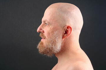 portrait of a bearded and bald man in profile