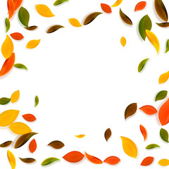 Falling autumn leaves. Red, yellow, green, brown c