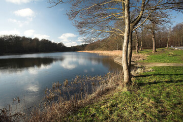 View on a  beautiful lake in denmark scandinavia