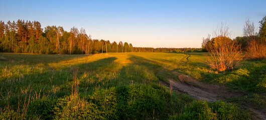 Naklejka premium Panoramic view of field and forest in beautiful evening sunset in summer outdoors. Beautiful natural landscape with soft focus, copy space, banner