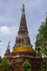 Fototapeta premium Stupa at Wat Ma Hae Yong, Ayuthaya, Thailand