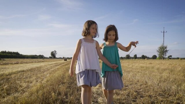 two charming girls are walking on mowed rye in the field 