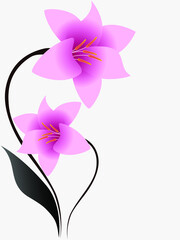 Floral background with pink lilies.