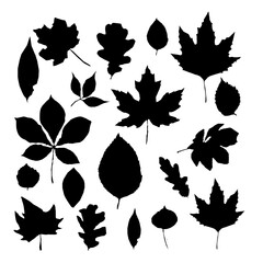 Leaves vector set isolated isolated on white background. Black autumn leaves or foliage silhouettes. Vector illustration
