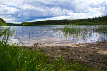 LAke shore in the forest