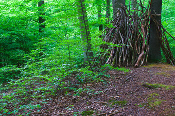 Natural shelter in the forest
