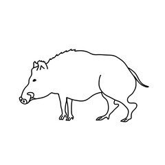 Wild boar vector illustration. Outline drawing of a hog.