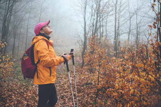 Dressed bright orange jacket young female backpacker enjoying the nature. She walking in autumn foggy forest using trekking poles. Active people and autumnal moody vacation time spending concept image