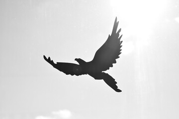 A silhouette of a black eagle flying
